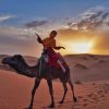 Roteiro 3 Dias para Deserto Saara de Fez ao Marrakech